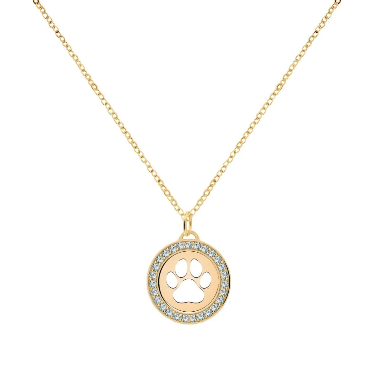 Paw & Alexandrite Pendant in 14k Gold (June) - Image 4
