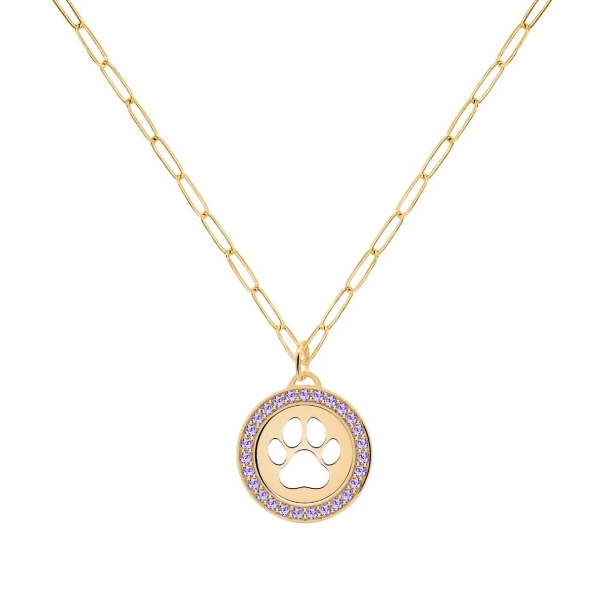Paw & Amethyst Pendant in 14k Gold (February) - Image 5