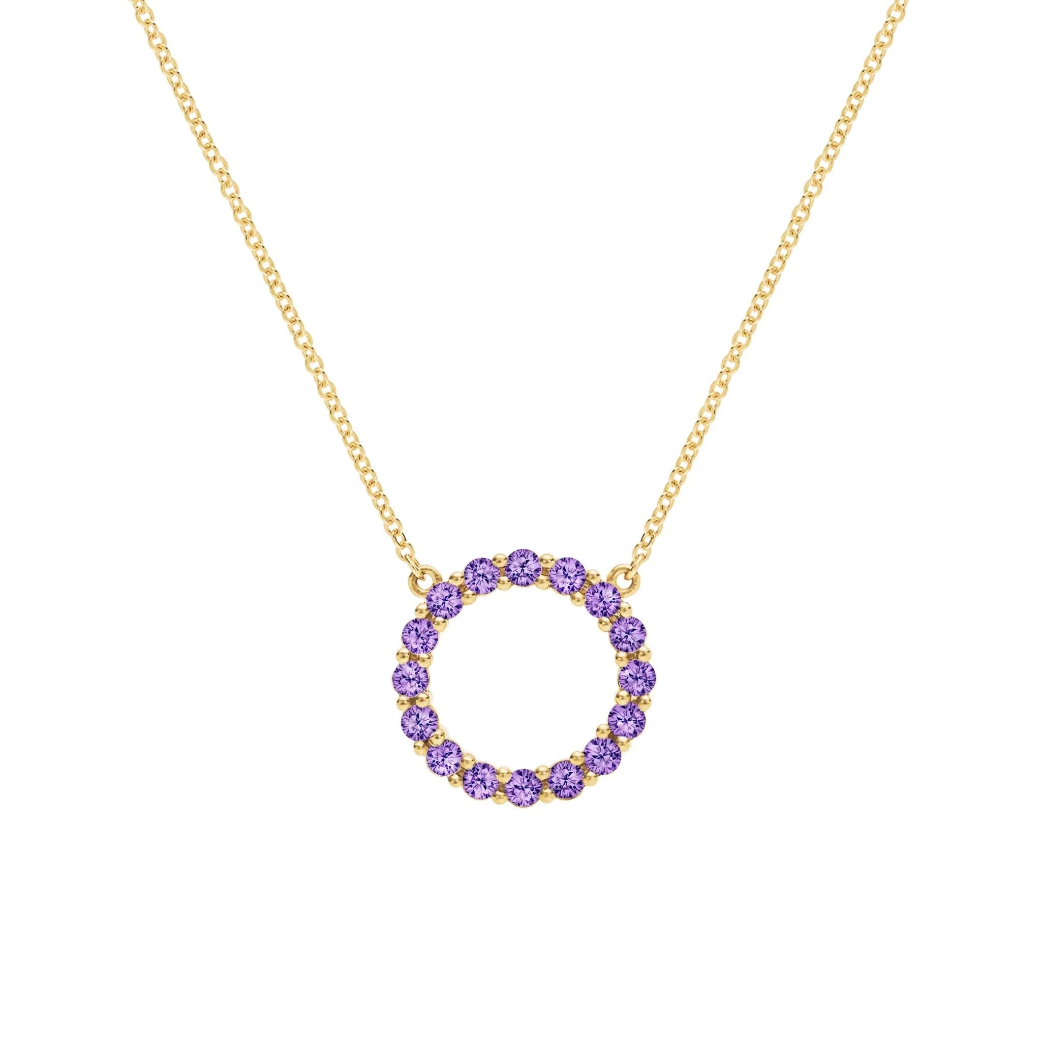 Rosecliff Circle Amethyst Necklace in 14k Gold (February)