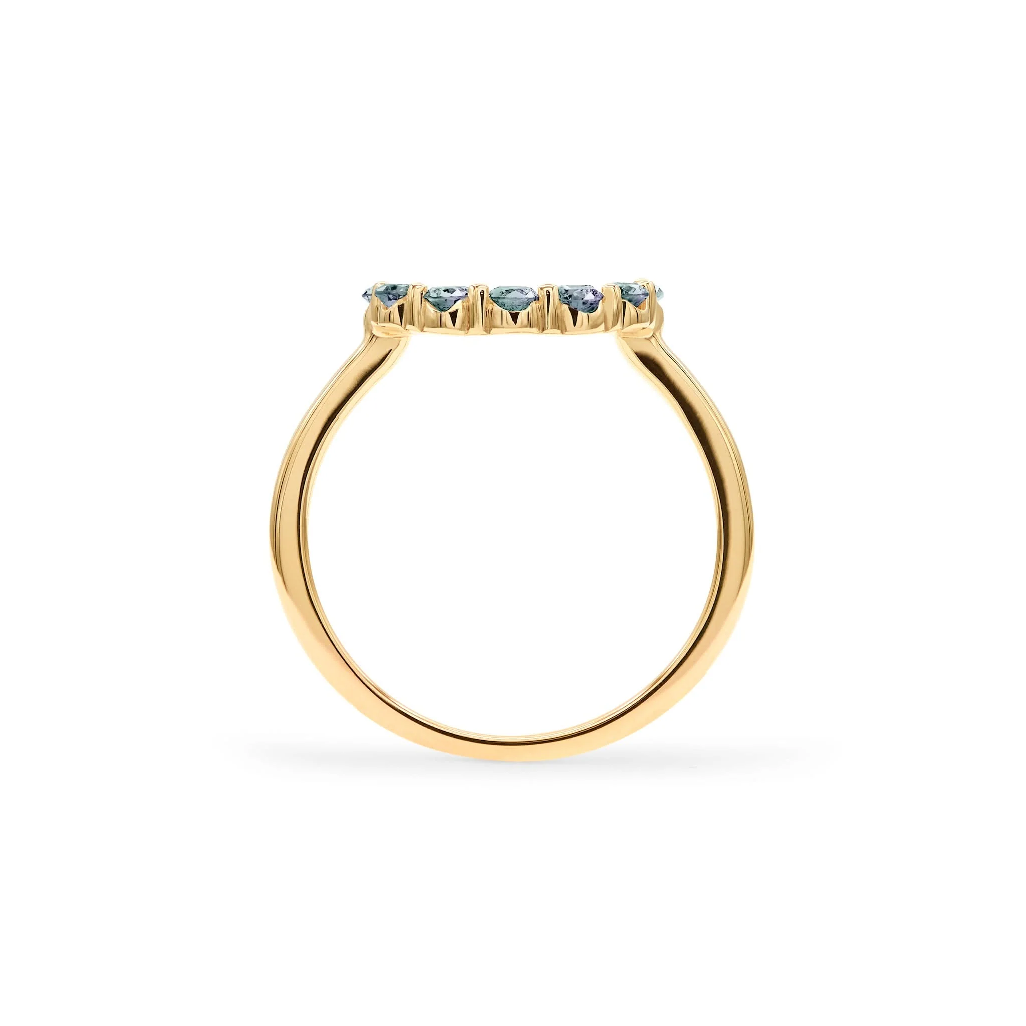 Rosecliff Small Circle Alexandrite Ring in 14k Gold (June) - Image 4