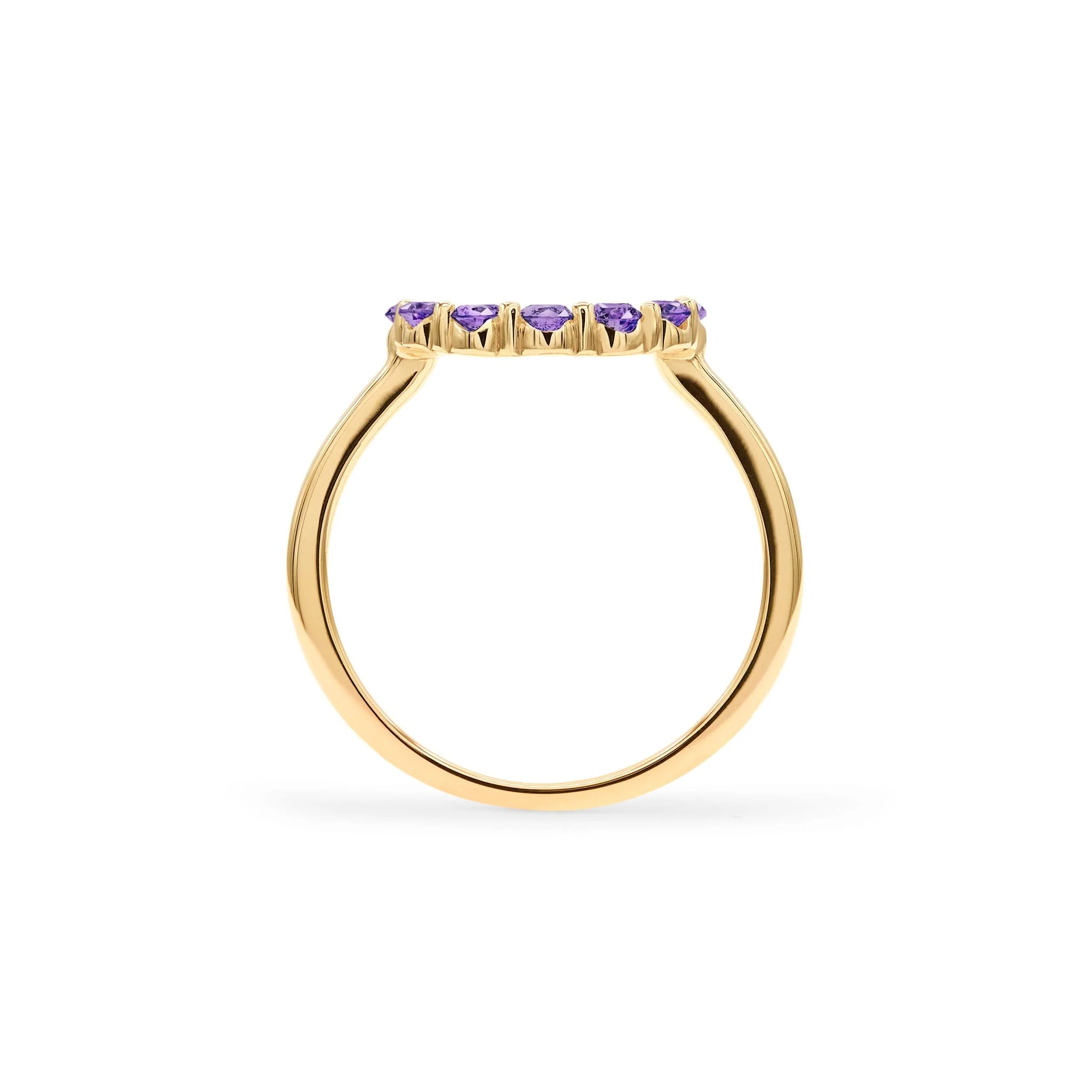 Rosecliff Small Circle Amethyst Ring in 14k Gold (February) - Image 4