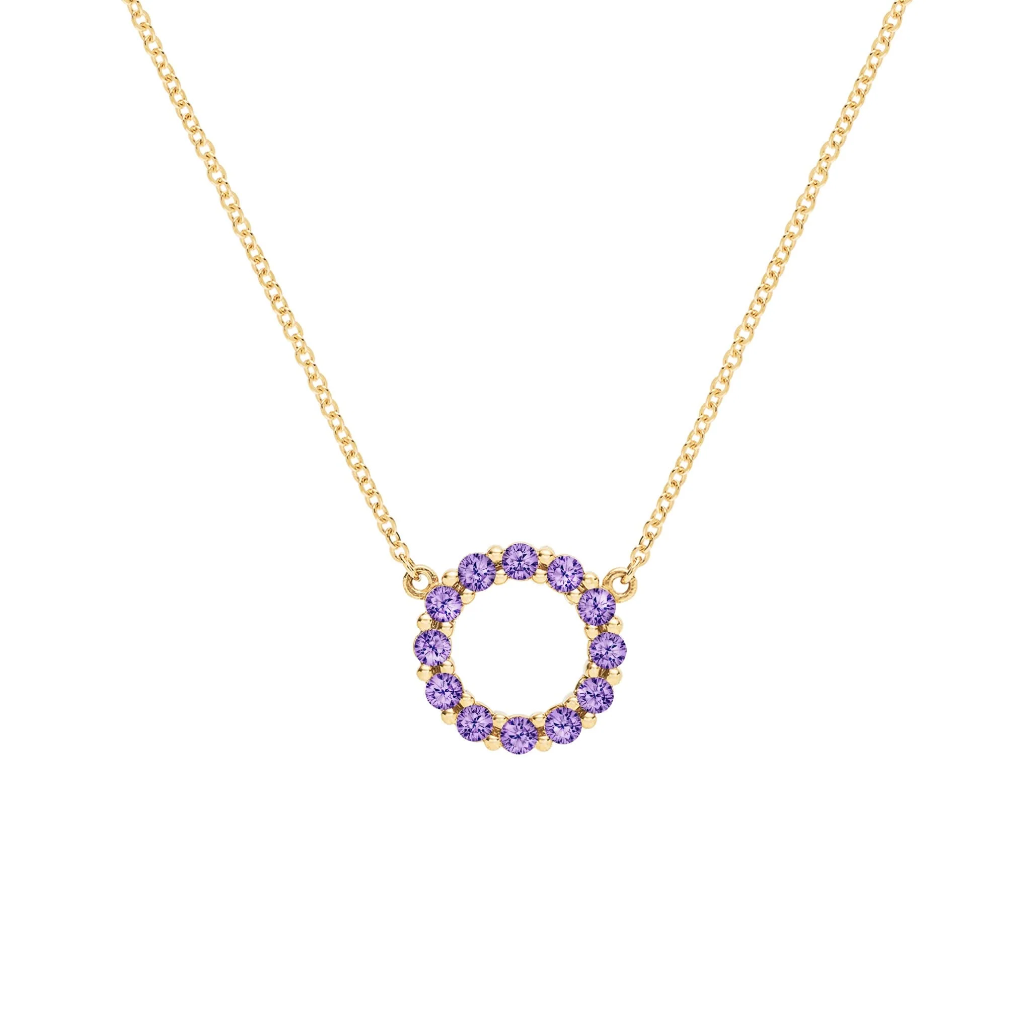The Vault: Rosecliff Small Circle Amethyst Necklace, Yellow Gold Size Small with 1" Extender