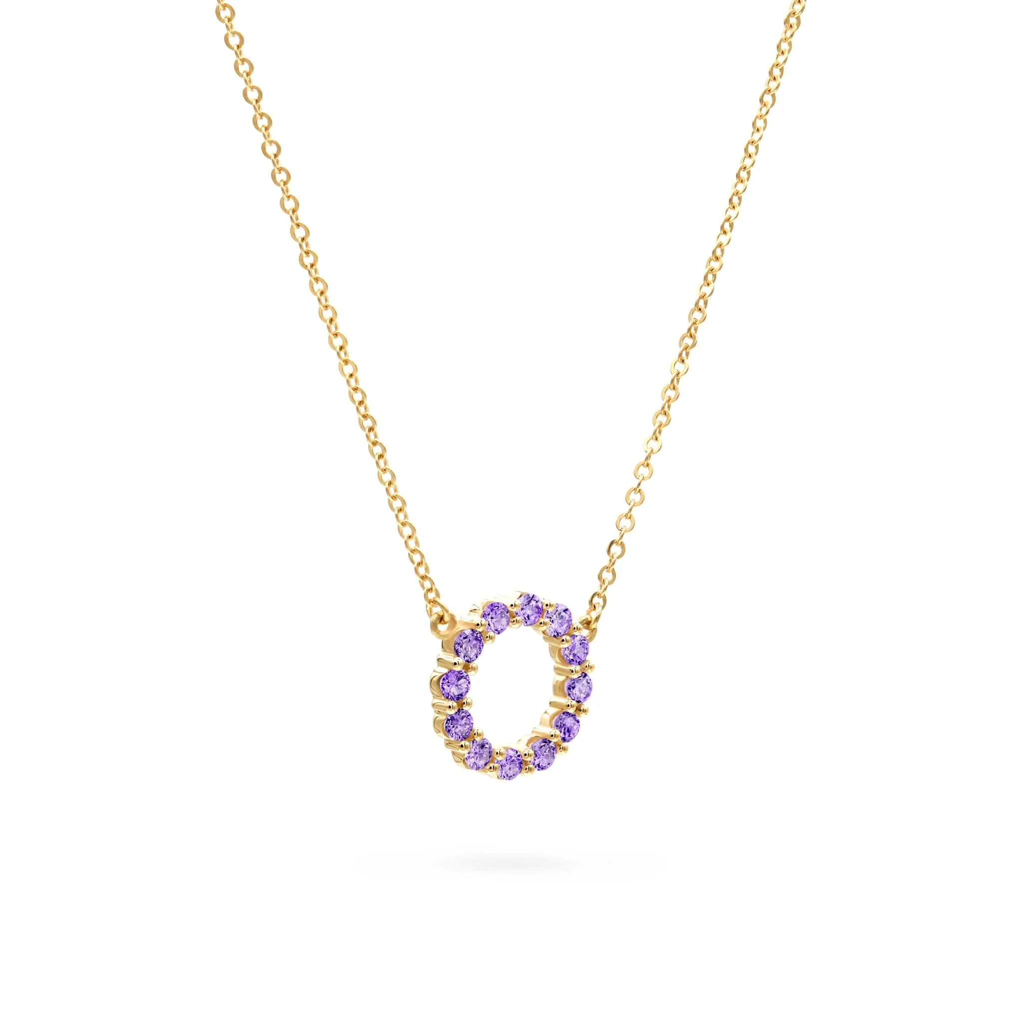 The Vault: Rosecliff Small Circle Amethyst Necklace, Yellow Gold Size Small with 1" Extender - Image 4